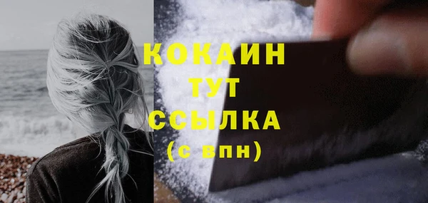 индика Лагань