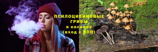 тгк Липки