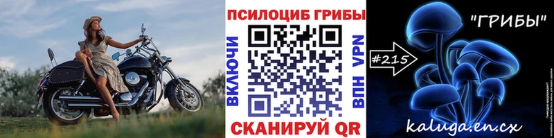 Галлюциногенные грибы MAGIC MUSHROOMS  Сясьстрой 